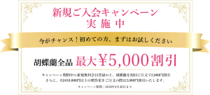 新規ご入会キャンペーン実施 胡蝶蘭全品最大5 000円割引 アディッドバリュー株式会社